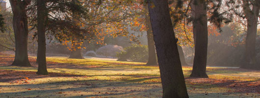 免费ddos在线攻击